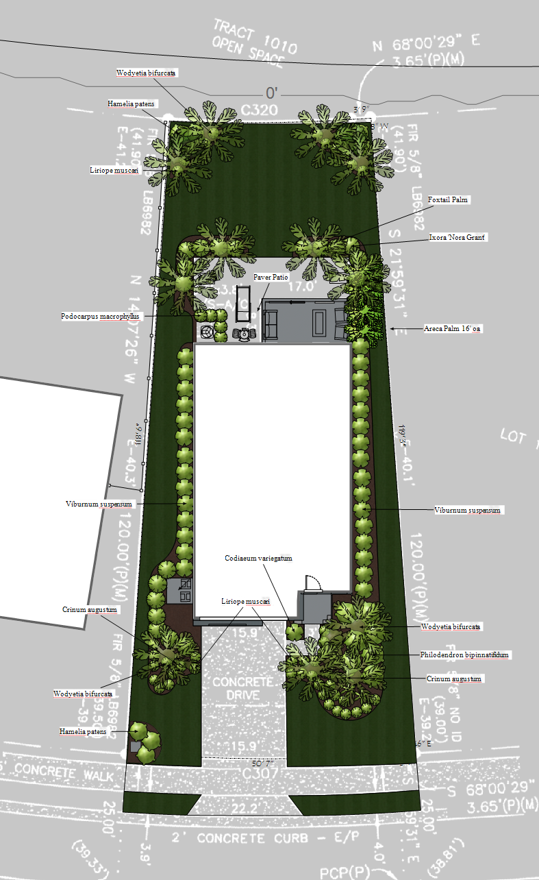 Color two-dimensional landscape presentation plan for the Sunset Sapphire Residence